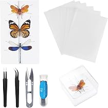 Amazon | Doyeemei 標本 キット 標本ツール 蝶 昆虫 【7点セット】再